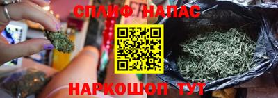 Альфа ПВП Донецк