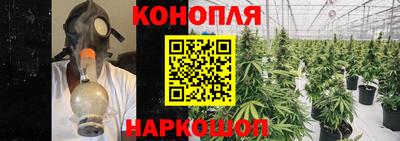 прущие грибы Дубна
