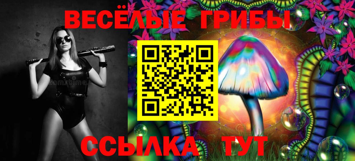 Псилоцибиновые грибы MAGIC MUSHROOMS Саров