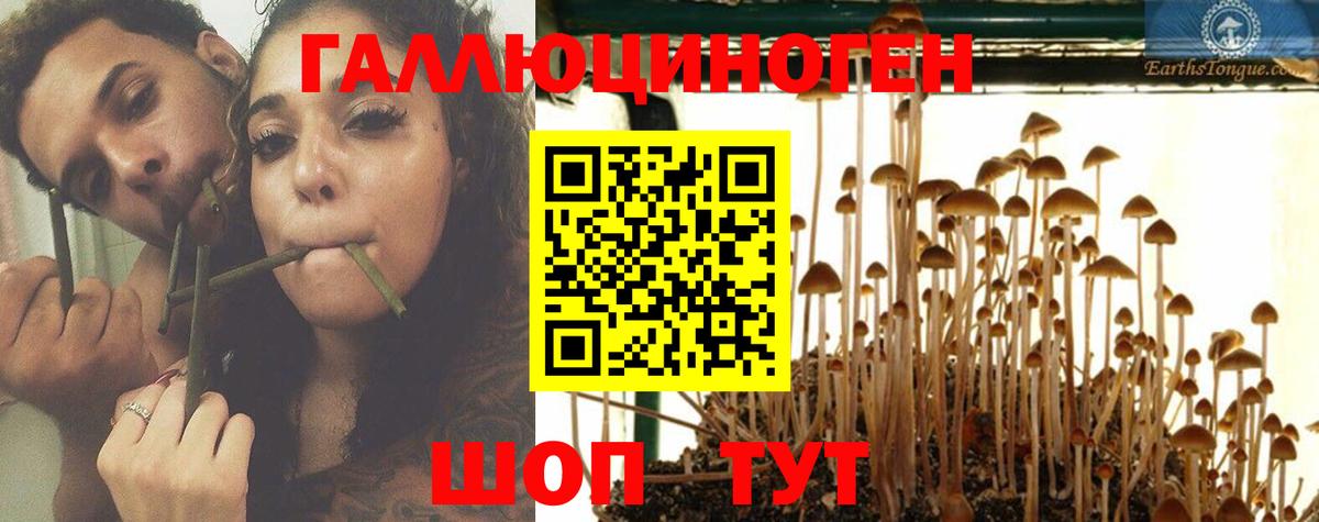 Галлюциногенные грибы GOLDEN TEACHER  Саров 