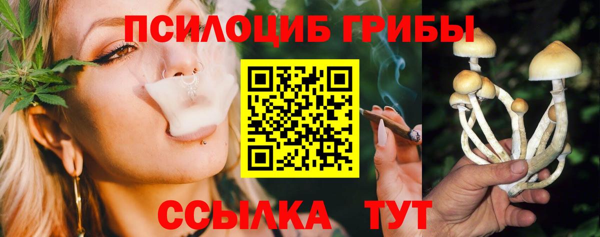 Саров  Галлюциногенные грибы GOLDEN TEACHER  Вход с VPN 